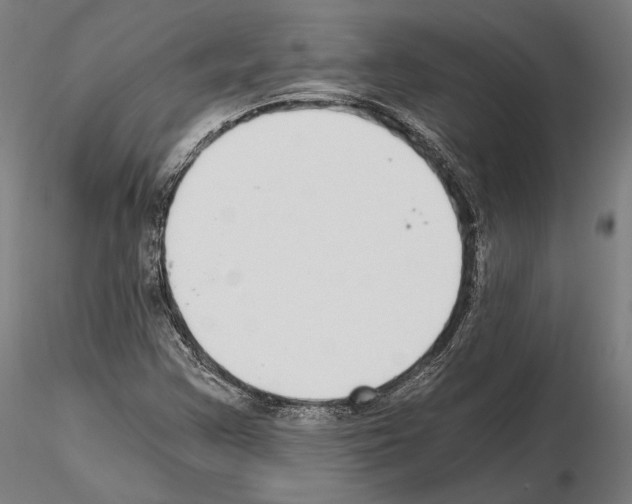 X0000115081355200912081202