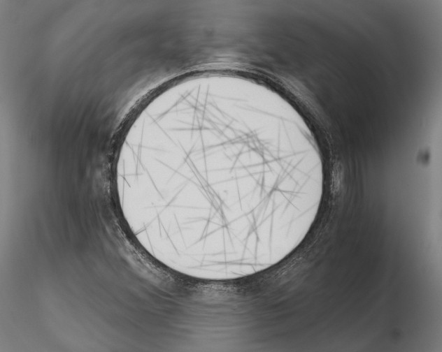 X0000115081356200912081202