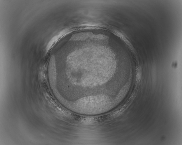 X0000115081357200912081202