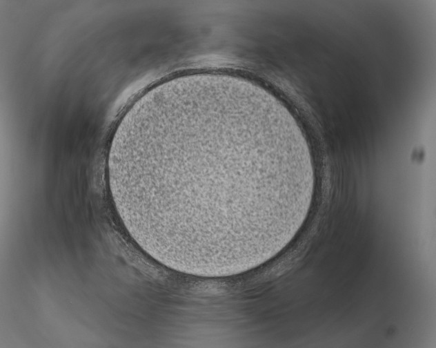 X0000115081358200912081202