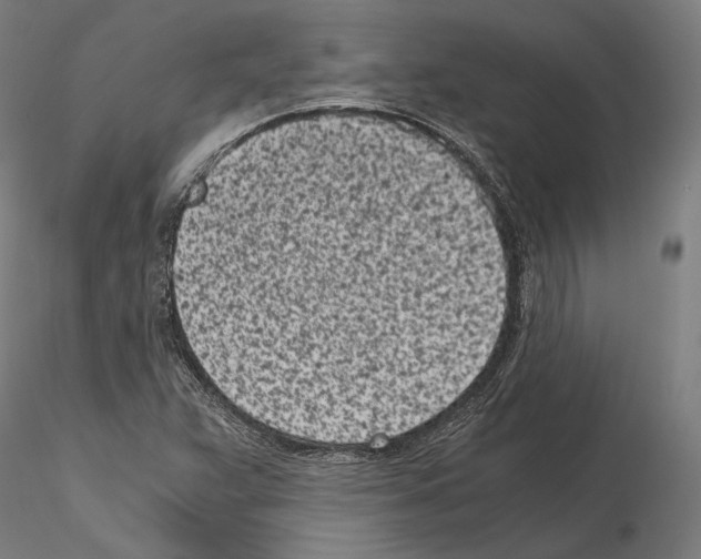 X0000115081359200912081202