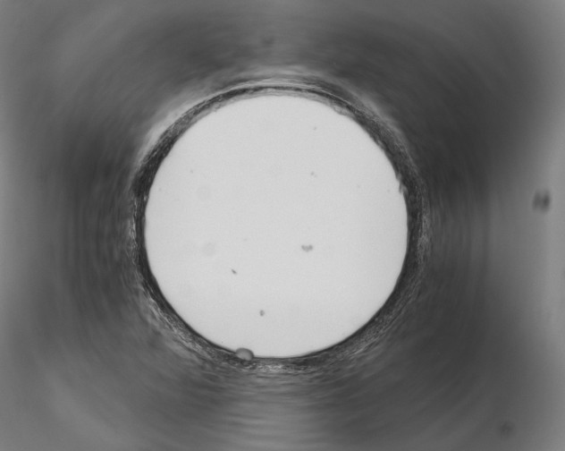 X0000115081360200912081202