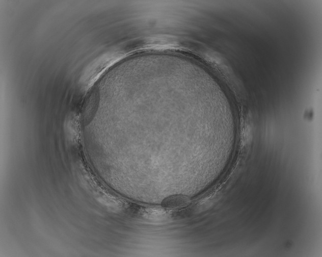 X0000115081361200912081202