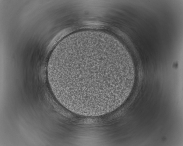 X0000115081362200912081202