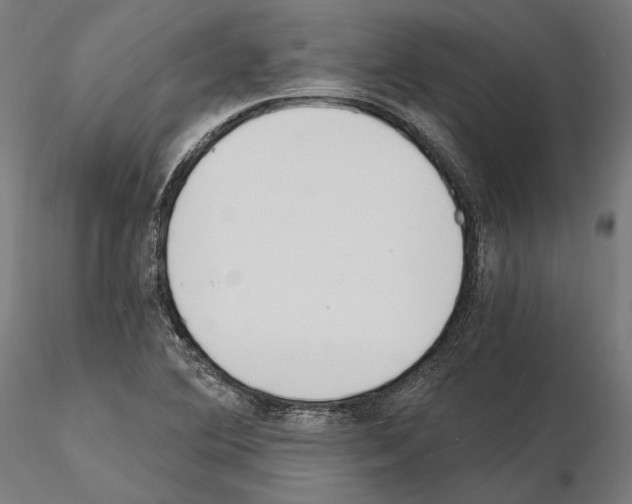 X0000115081364200912081202