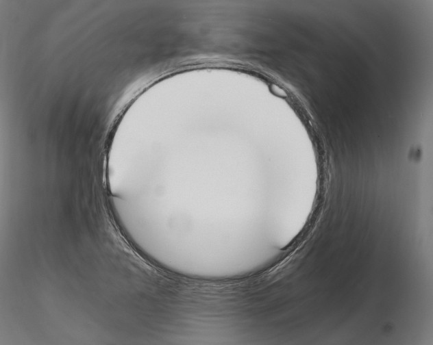 X0000115081365200912081202