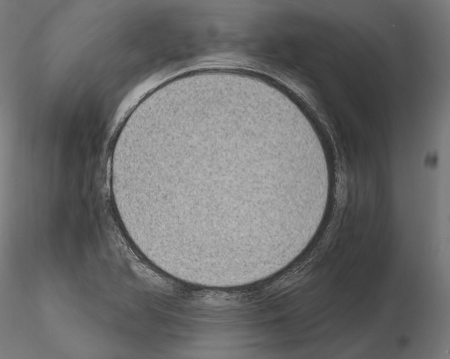 X0000115081366200912081202