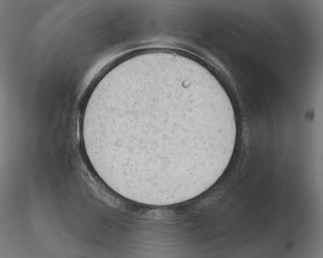 X0000115081368200912081201