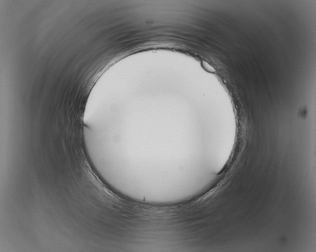 X0000115081369200912081201