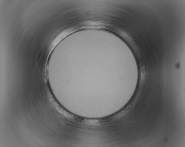 X0000115081370200912081201