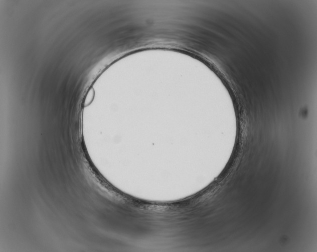 X0000115081371200912081201