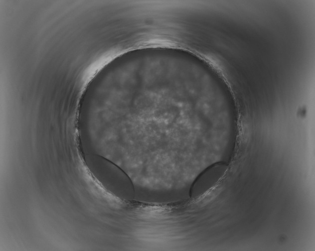 X0000115081373200912081201