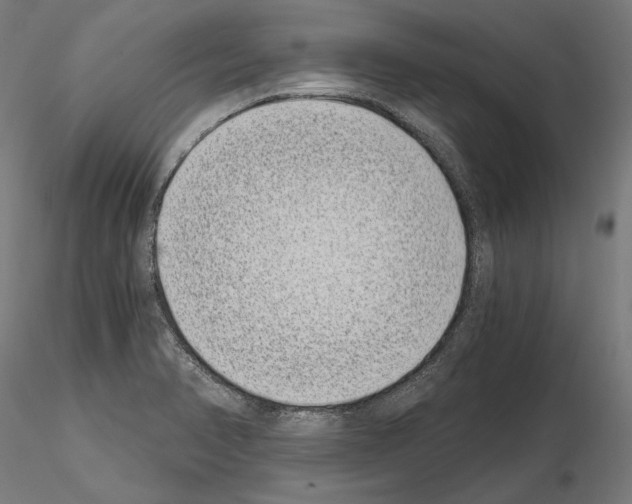 X0000115081374200912081201