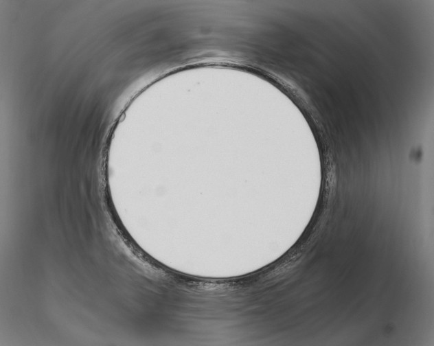 X0000115081375200912081201