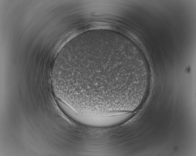 X0000115081377200912081201