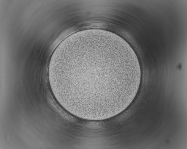 X0000115081378200912081201