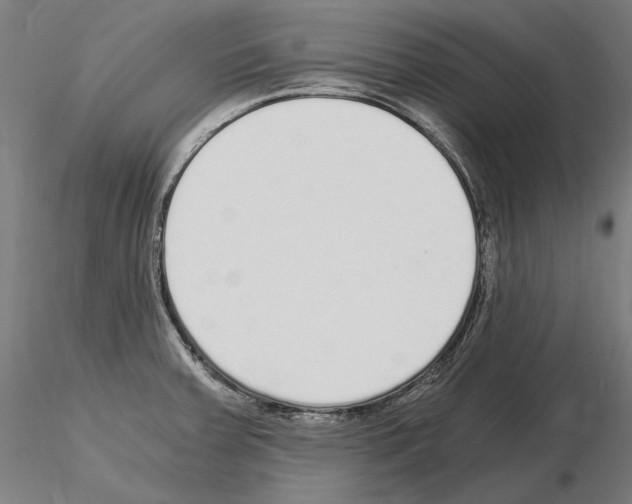 X0000115081379200912081201