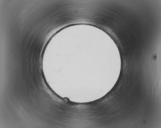 X0000115081380200912081201