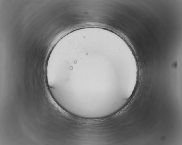 X0000115081381200912081201