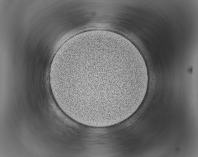 X0000115081382200912081201