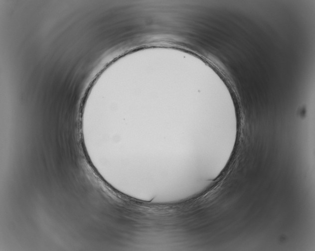 X0000115081384200912081201