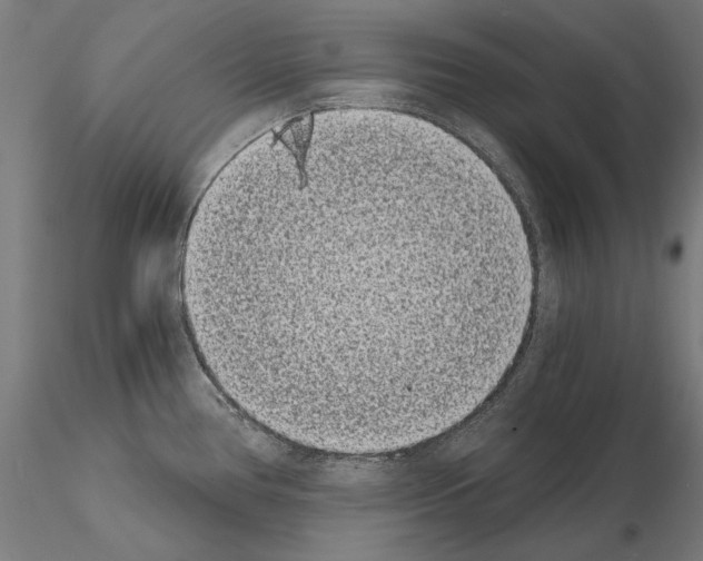 X0000115081386200912081201