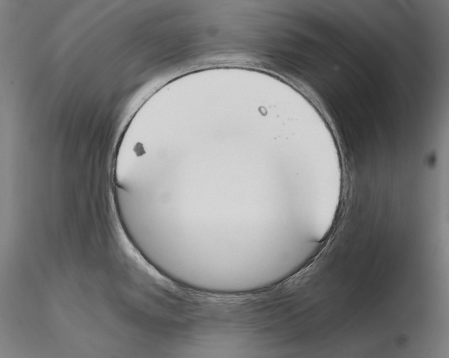 X0000115081389200912081201