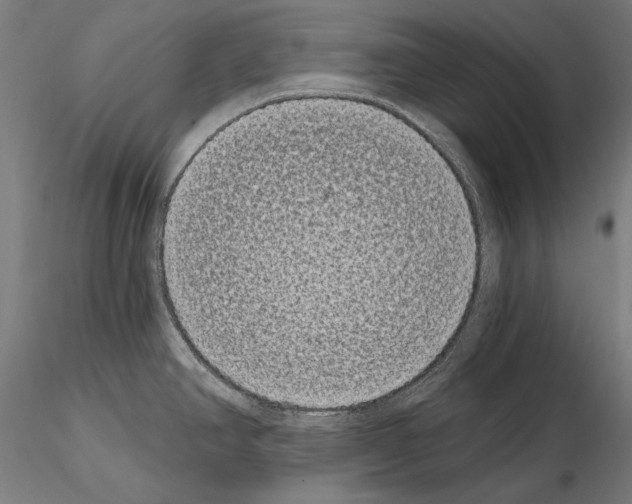 X0000115081390200912081201