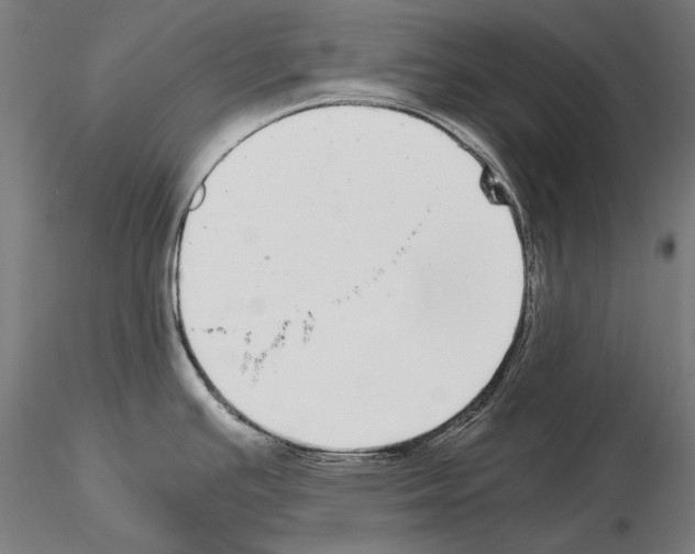 X0000115081391200912081201