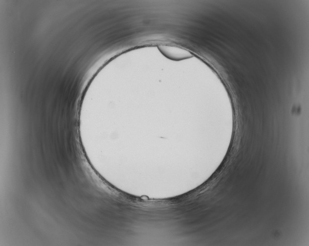 X0000115081392200912081201