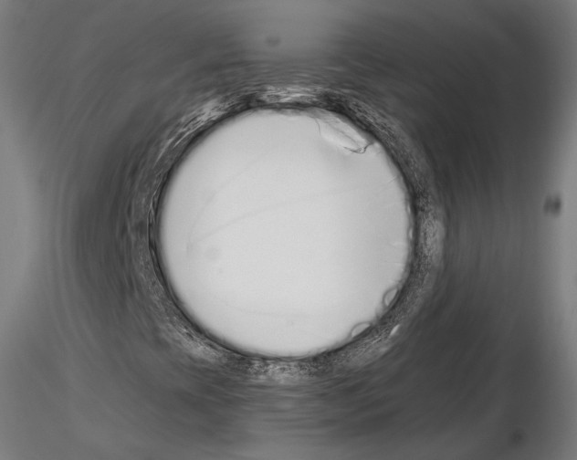 X0000115081393200912081200