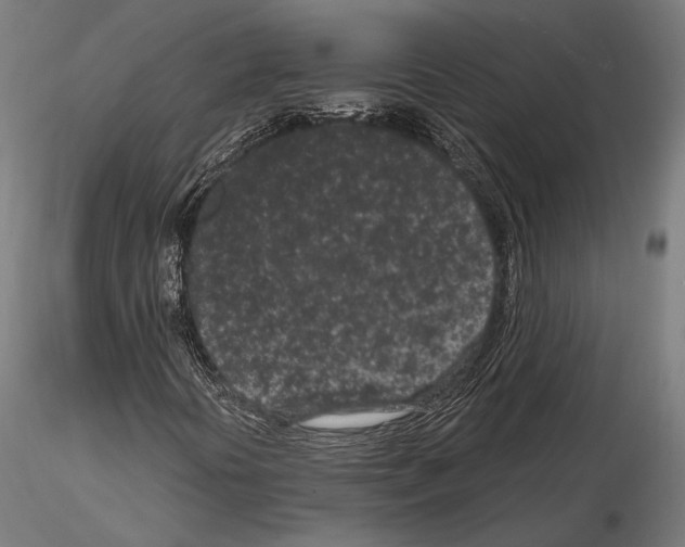 X0000115081394200912081200