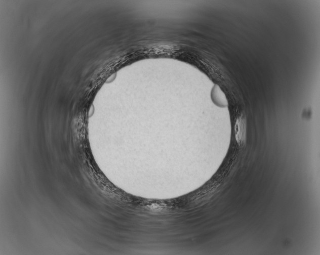 X0000115081395200912081200