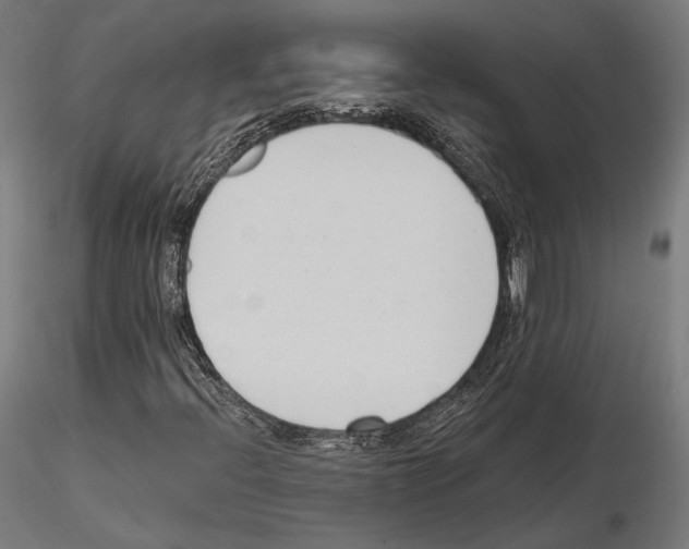 X0000115081396200912081200