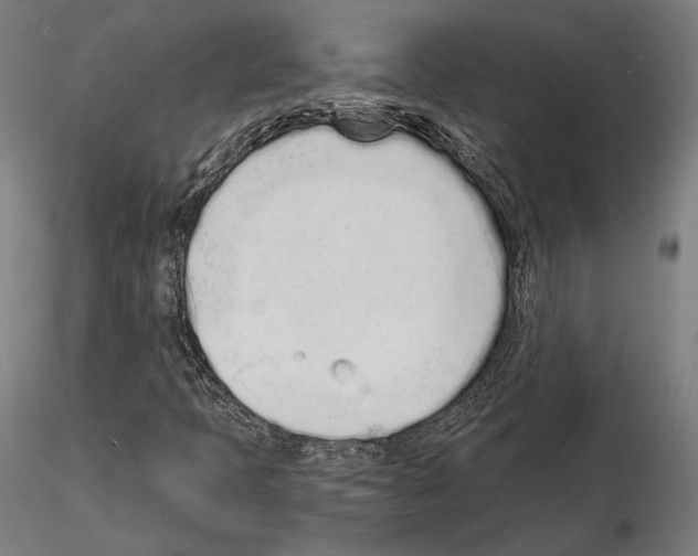 X0000115081397200912081200