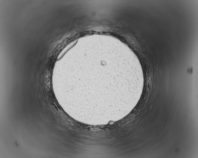 X0000115081398200912081200