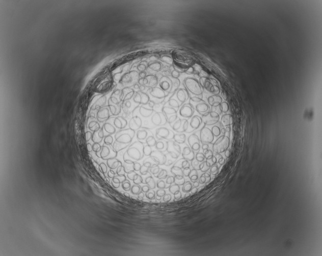 X0000115081400200912081200