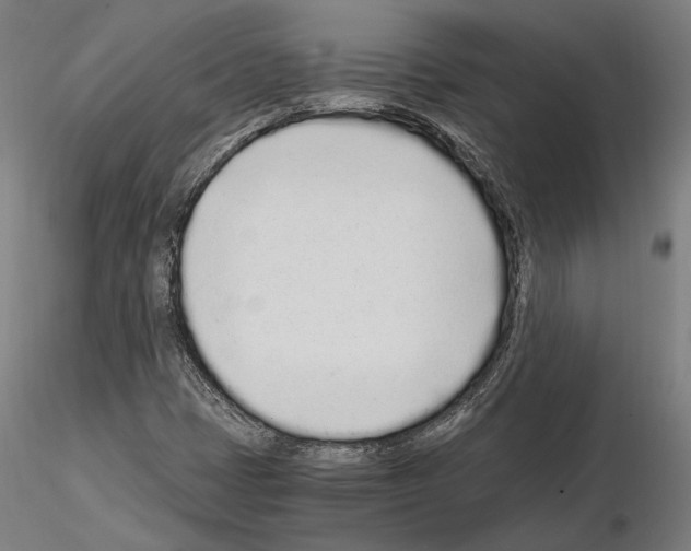 X0000115081401200912081200