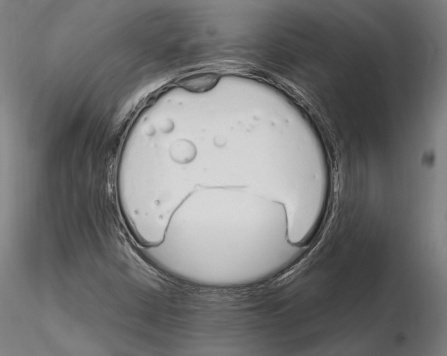 X0000115081402200912081200