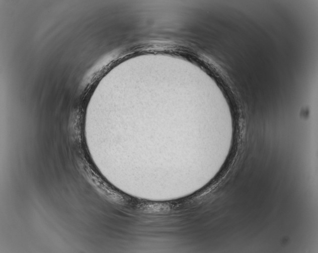 X0000115081403200912081200