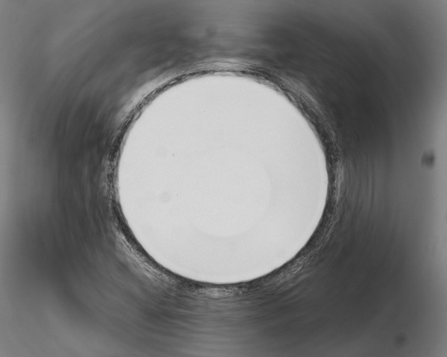 X0000115081404200912081200