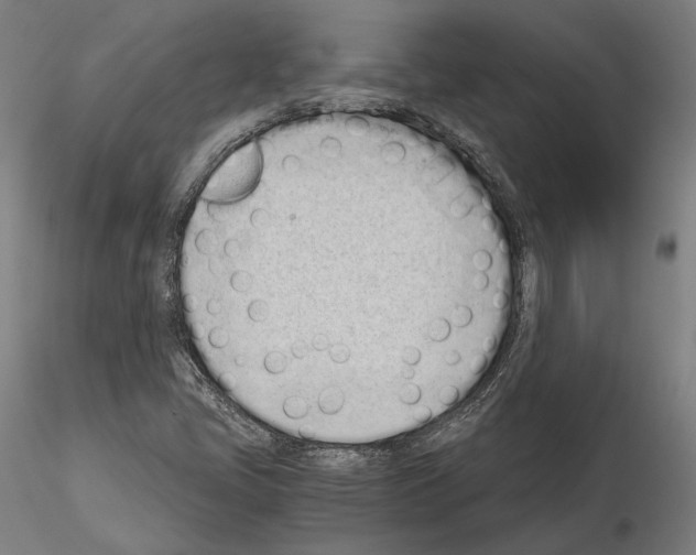 X0000115081405200912081200