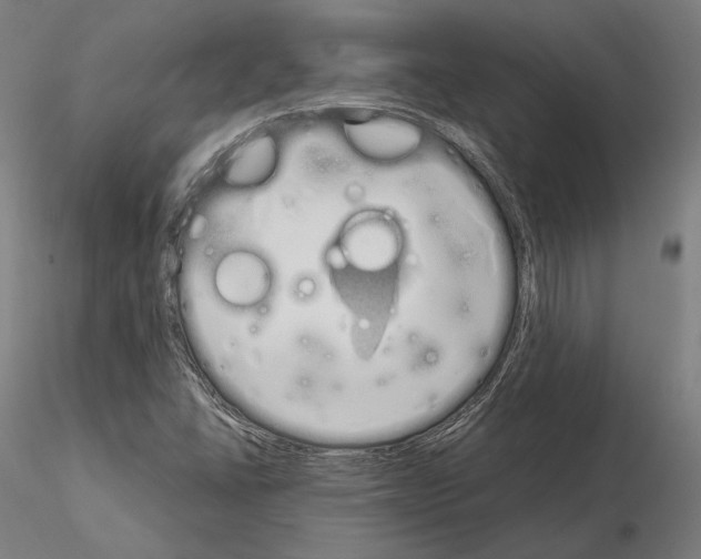 X0000115081406200912081200