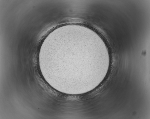 X0000115081407200912081200