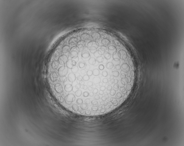 X0000115081408200912081200