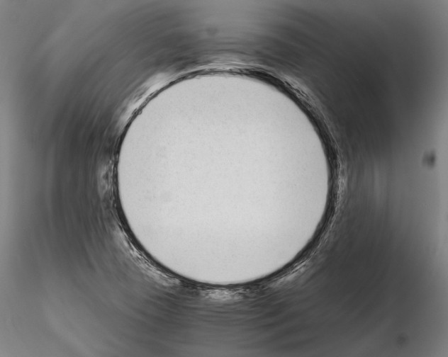 X0000115081409200912081200