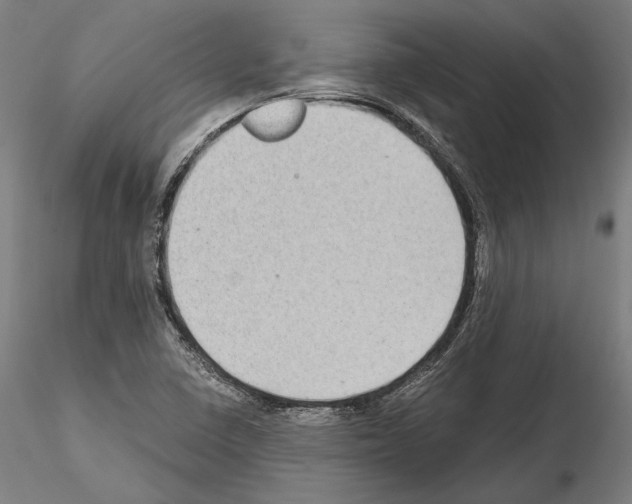 X0000115081410200912081200