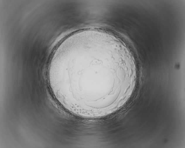 X0000115081412200912081200