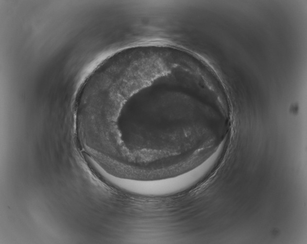 X0000115081414200912081201