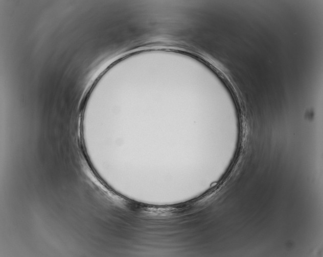 X0000115081415200912081201